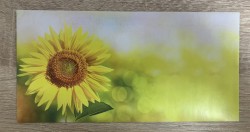 obalka1569122a60e0240