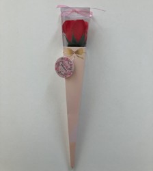 růže-červená6915ed6567c11