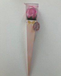 růže-růžova6915eec000879