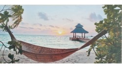 obalka3690f853cddfa8